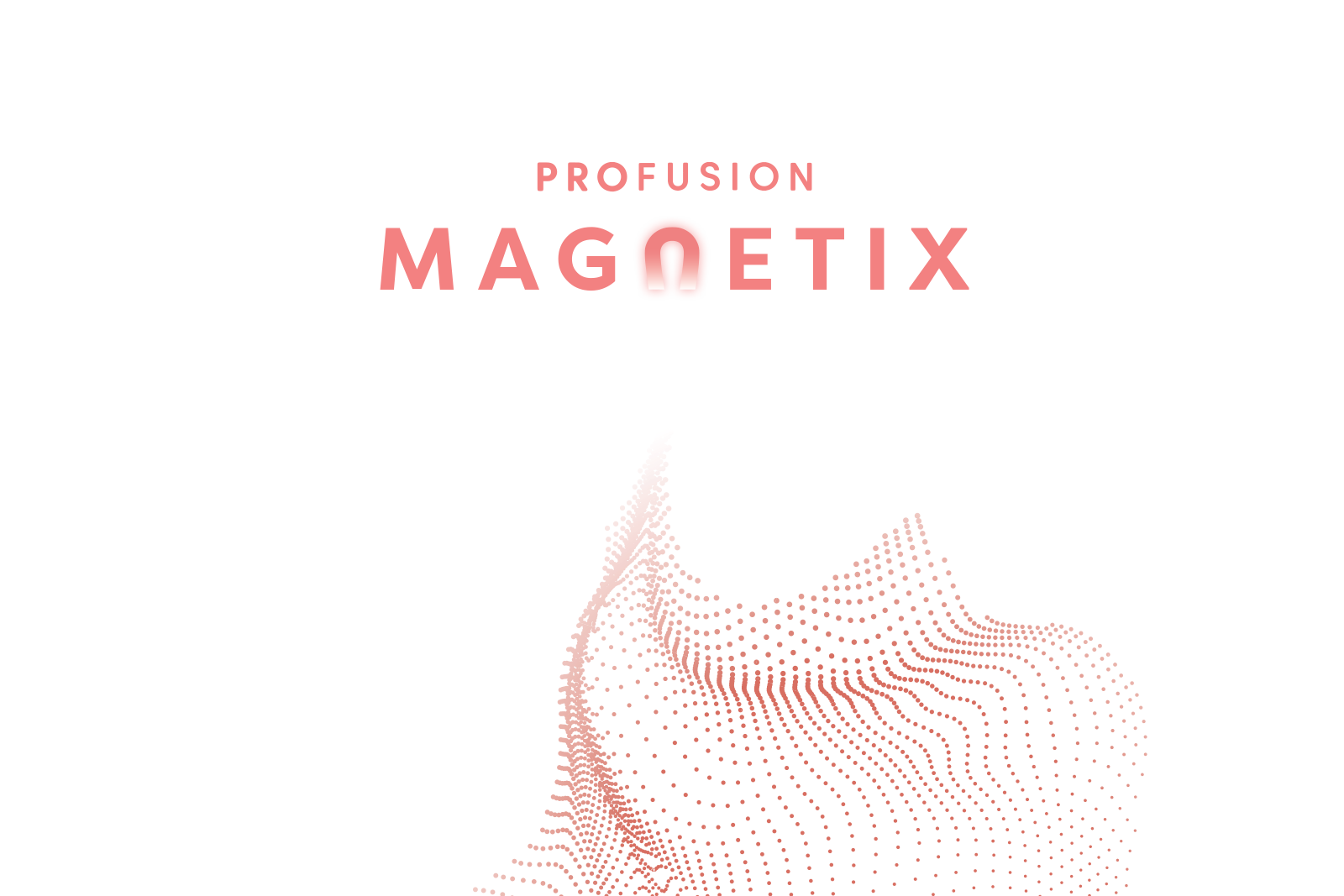 magnetix diseño de identidad corporativa y packaging